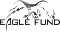Some of the world’s most highly trained athletes are the men and women who make up America’s armed forces. When they get hurt in action, it puts more than a game in jeopardy.The Eagle Fund provides wounded warriors access to the highest quality of care possible.