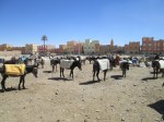 The local market parking lot. Donkeys are the transportation option of choice.